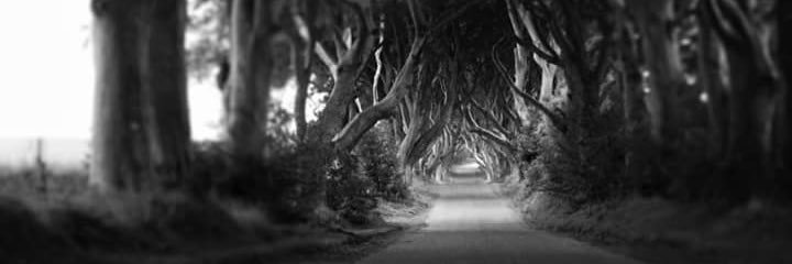 mairilaird's profile banner image