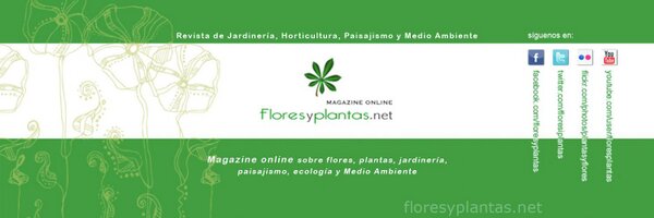 flores y plantas Profile Banner