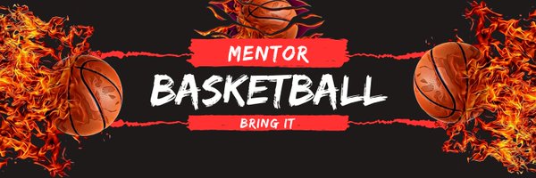 MentorLadybball Profile Banner