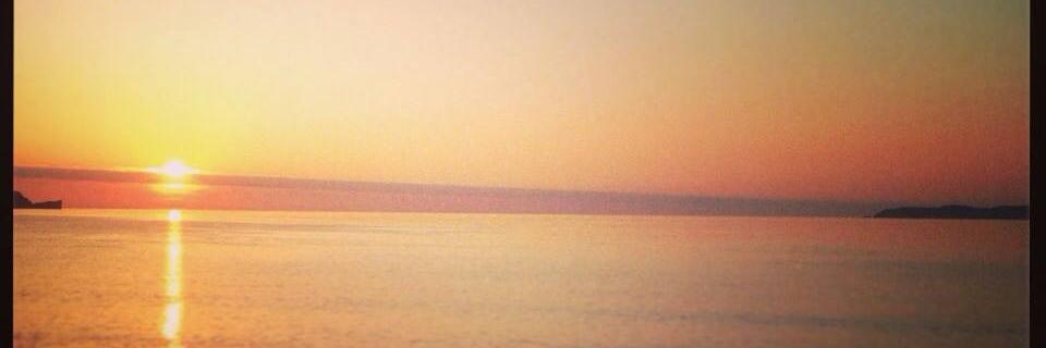 DanielleScul's profile banner image