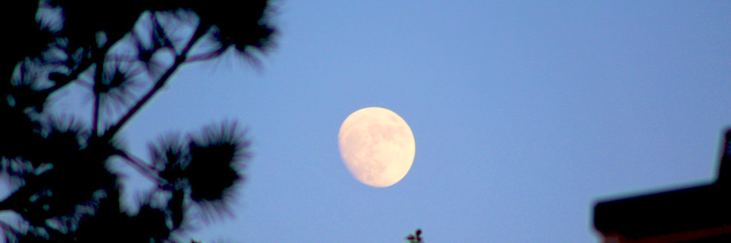autumn_mentch's profile banner image