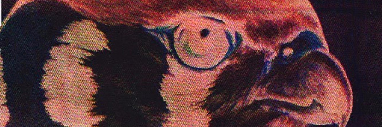 MuggaBand's profile banner image