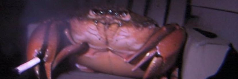 Puuankkuri's profile banner image