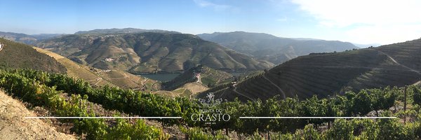 QuintadoCrasto Profile Banner