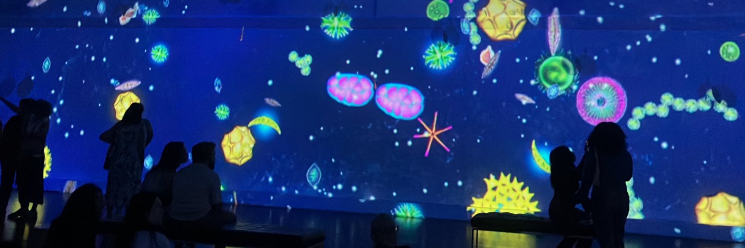 YorkUScientists banner