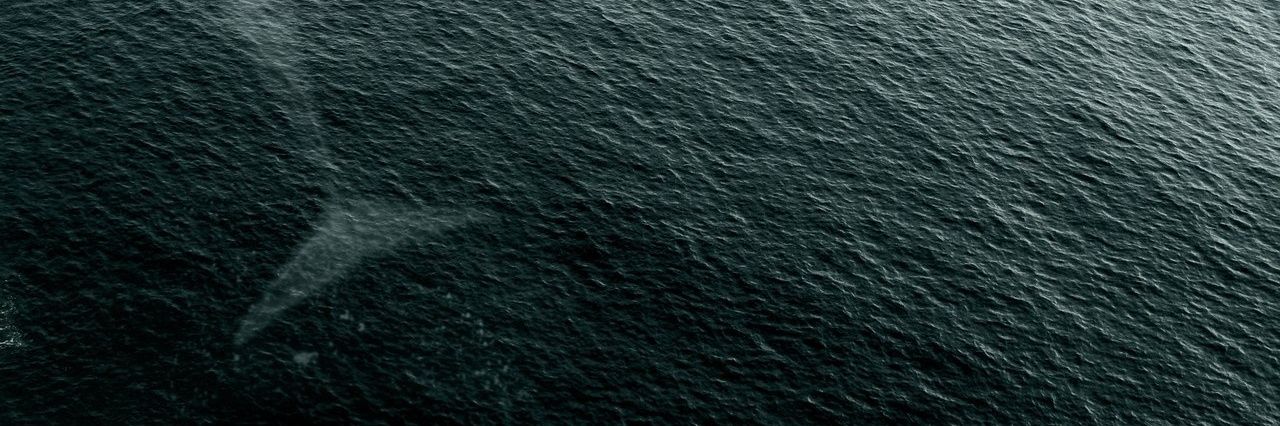 Alice_Sirena's profile banner image