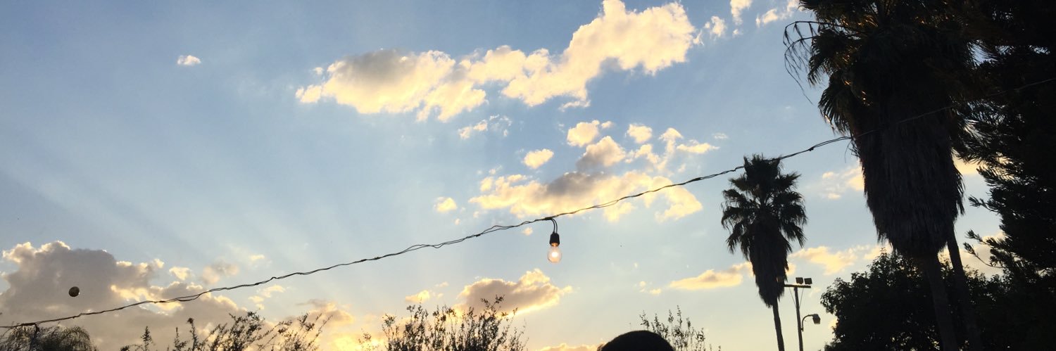 anacecilix's profile banner image