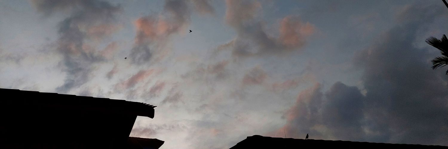 ycalendula's profile banner image