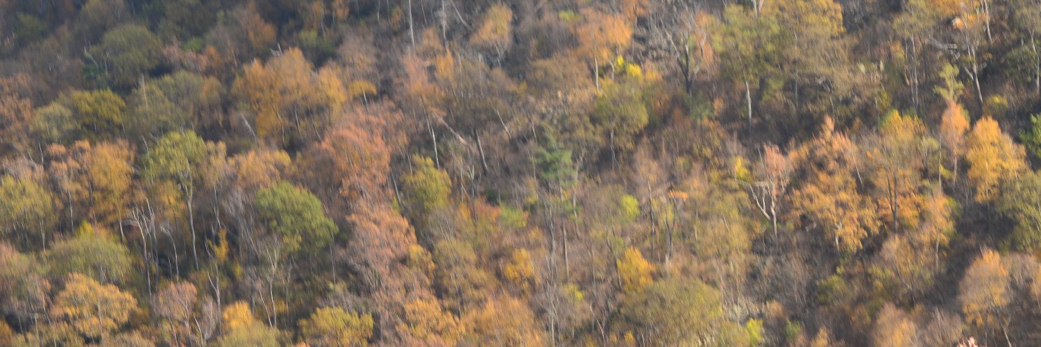 davrsch's profile banner image
