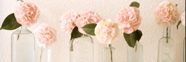 amyblyth__'s profile banner image