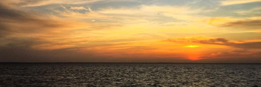 Jose Alberto Zavala banner