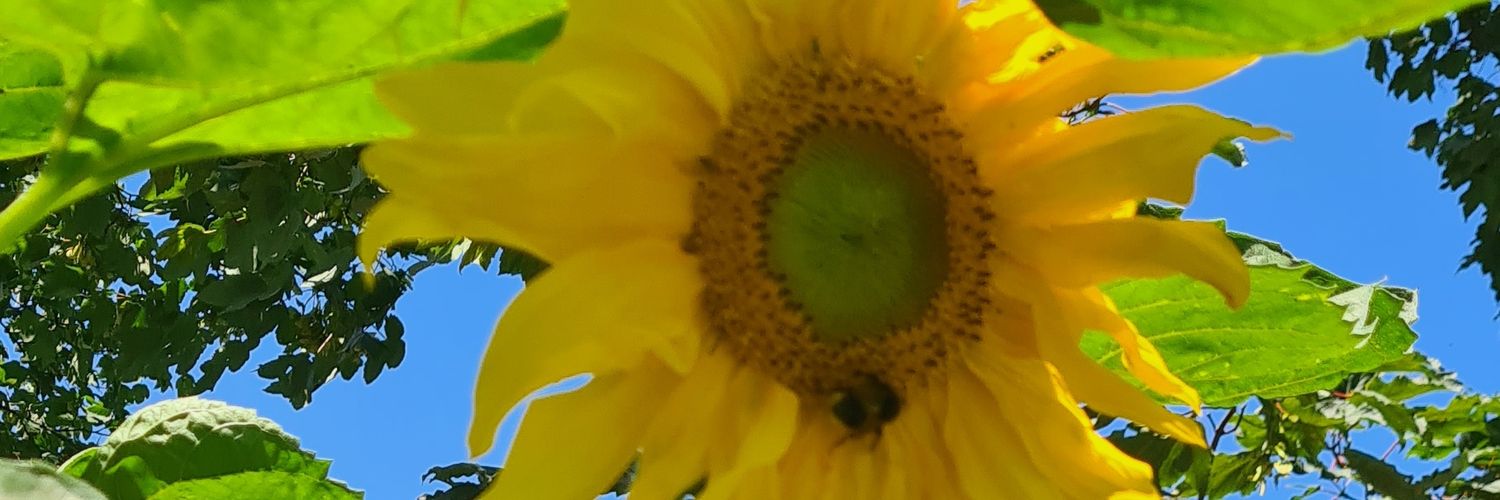 arifajamali's profile banner image