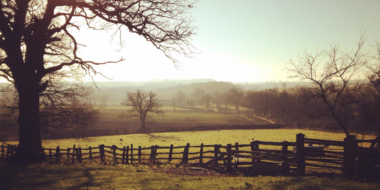 emmawaldock's profile banner image