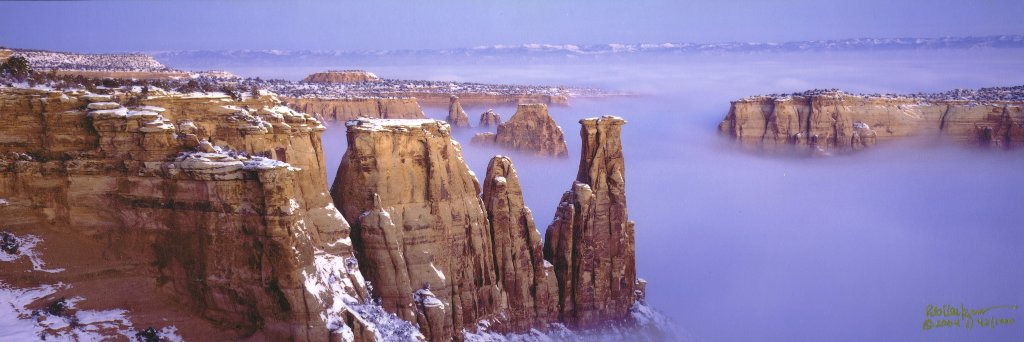 COGeolSurvey's profile banner image