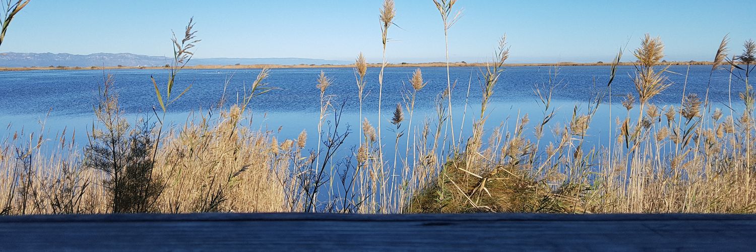 Oriol Torroja i Nualart banner