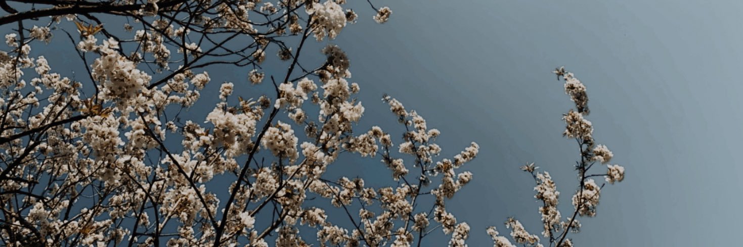 nichtsweh's profile banner image