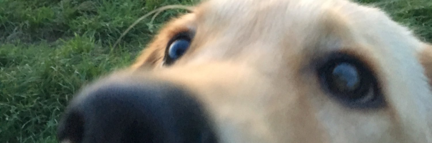 rachbuzzb's profile banner image