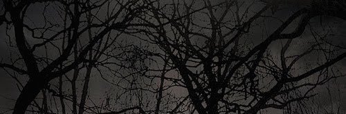 _sho_sha's profile banner image