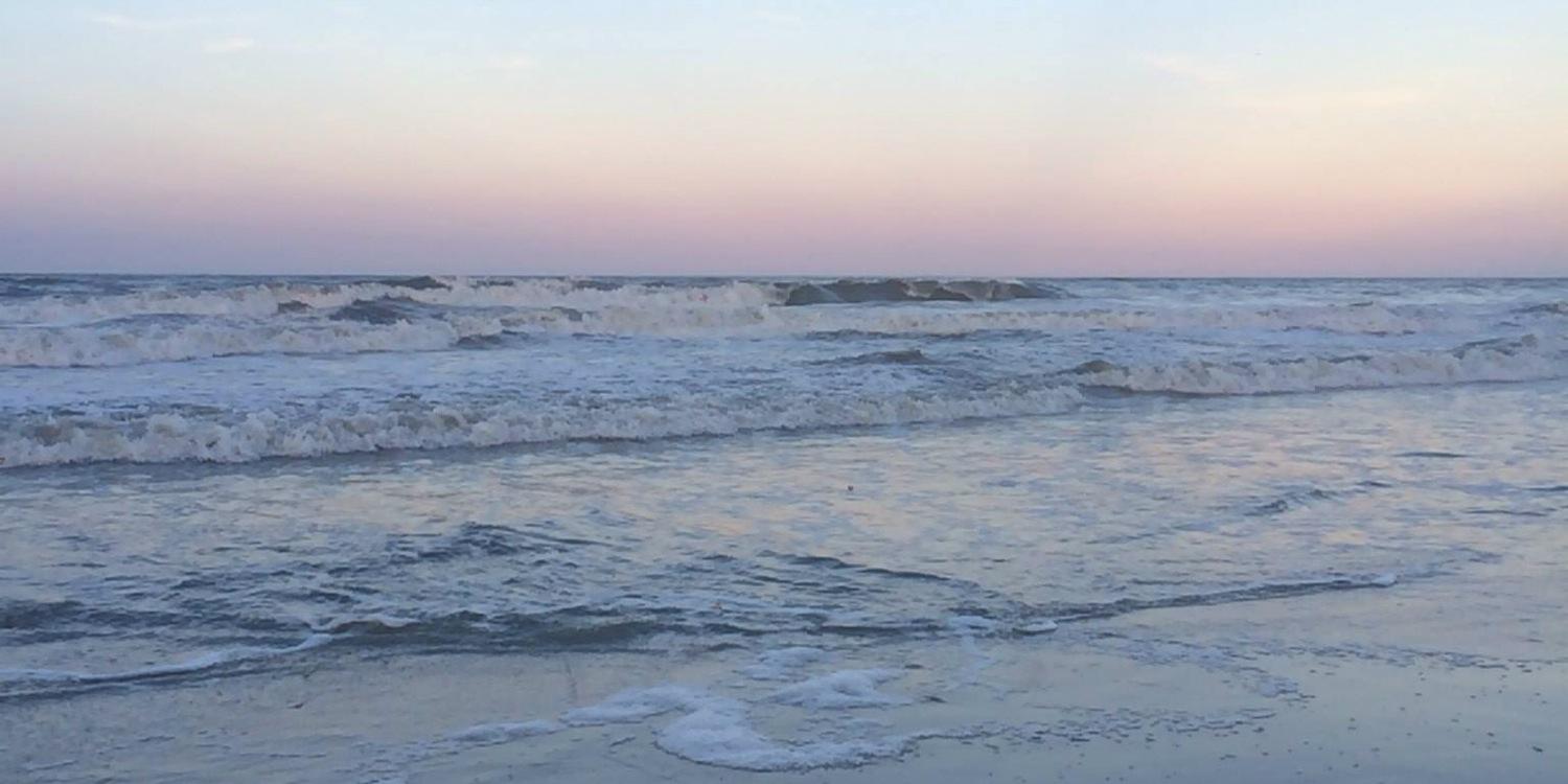 Susan Sweeney banner