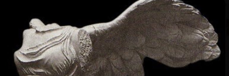 _vickyy_12_'s profile banner image