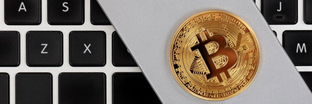 NFT / Collecter 🔔 🐠 banner