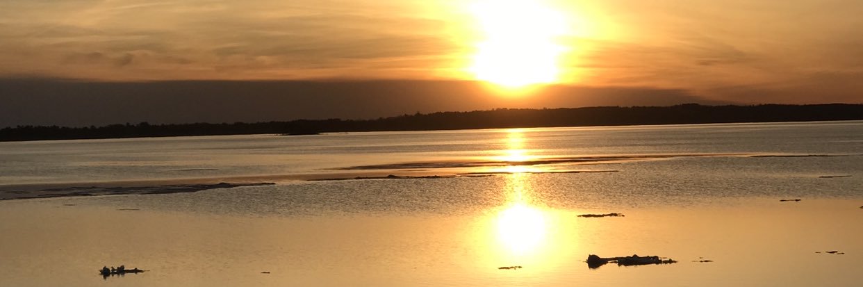 AlexYoungCanada's profile banner image