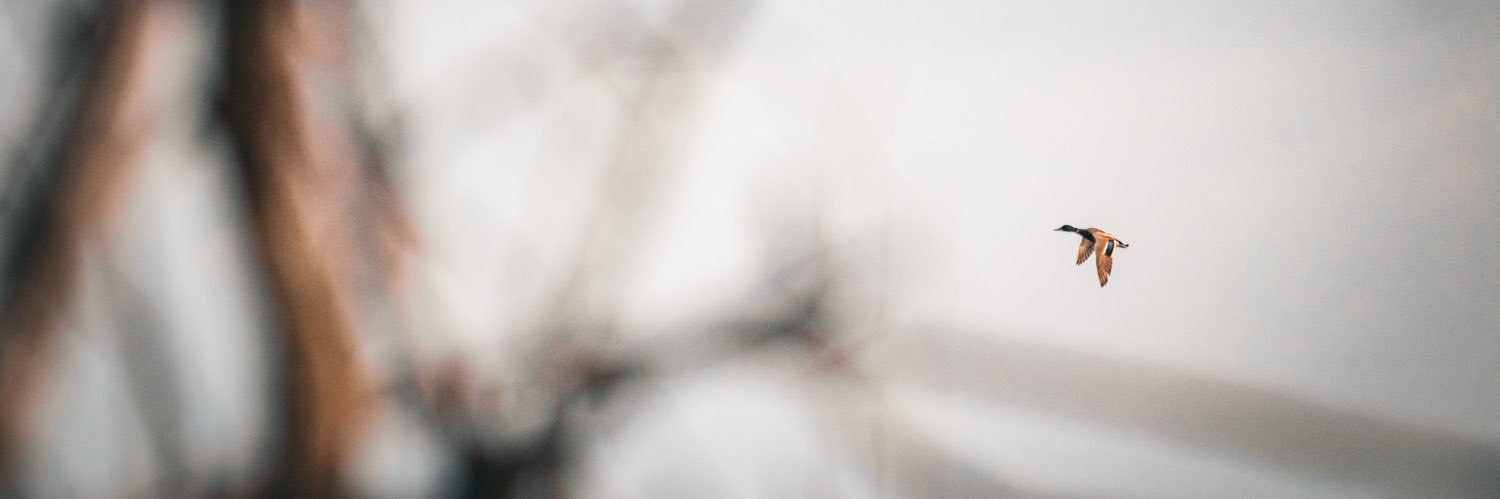 Nate Spieth banner