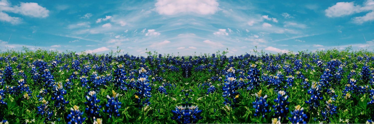 Blue Sage Capital banner