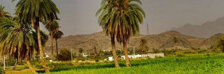 عبدالله علي القرني banner