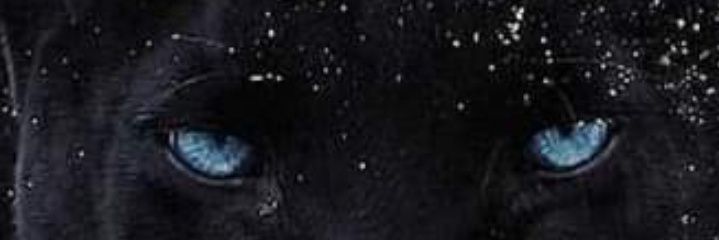 Carlos Henrique de Souza Paes banner