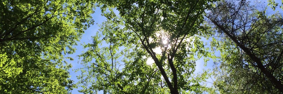 HopWellness's profile banner image