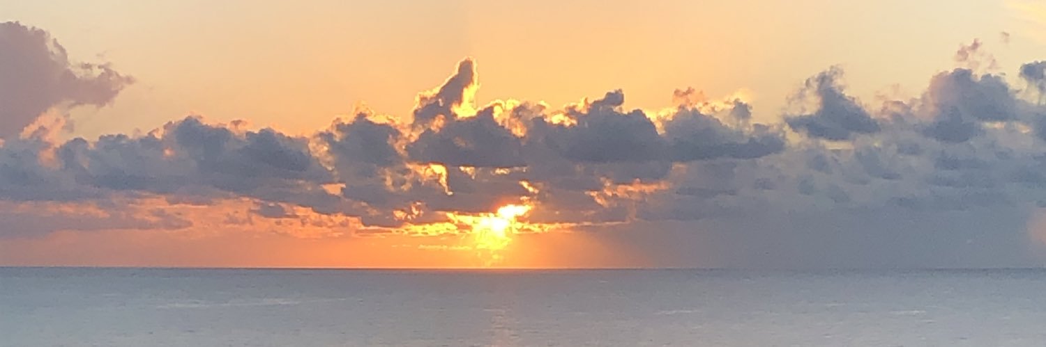 janart32's profile banner image