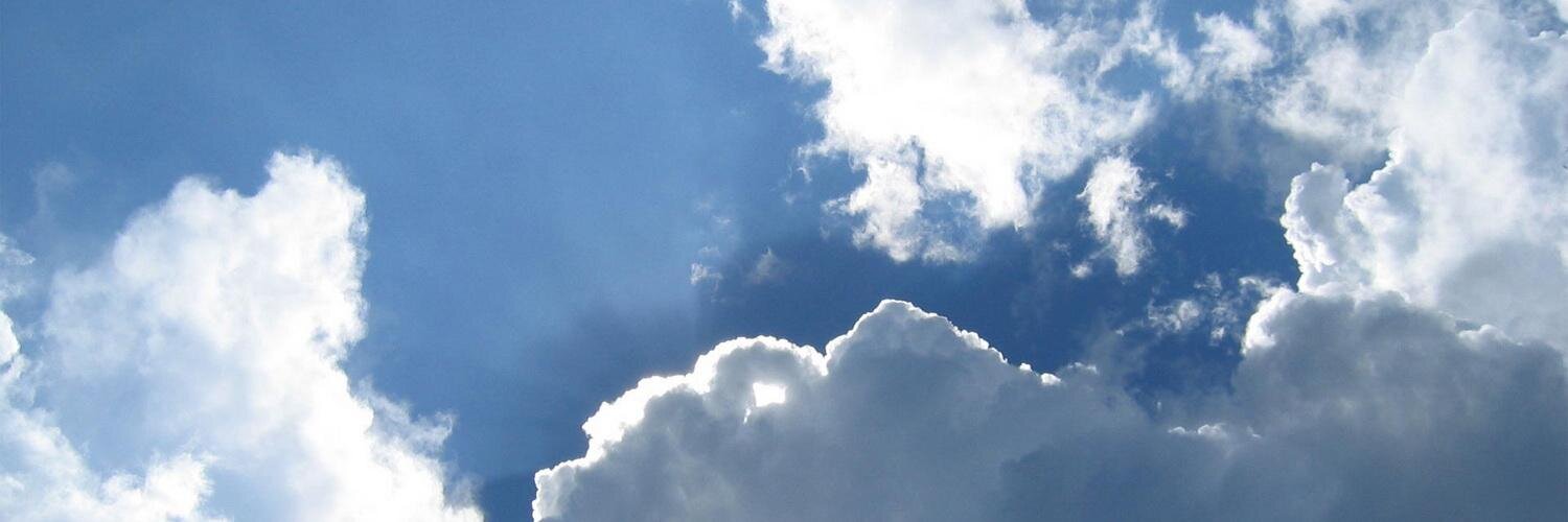gurvinic's profile banner image