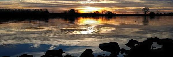 StoneyToons Profile Banner