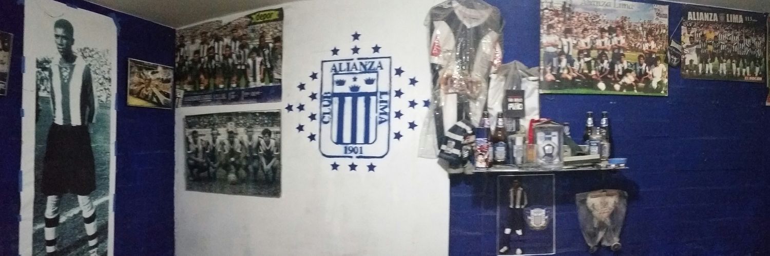 RicardoALTLV's profile banner image