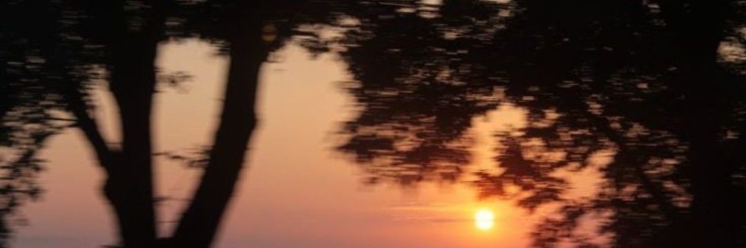 nilessd9's profile banner image