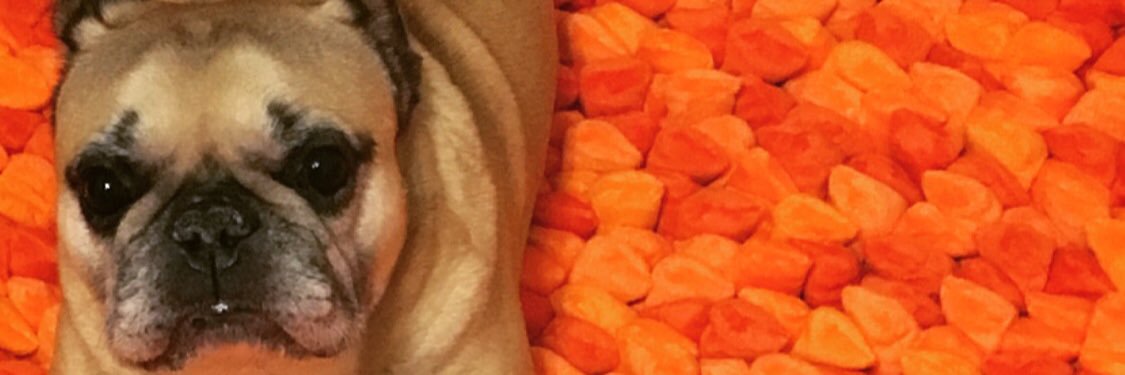 alaven22's profile banner image