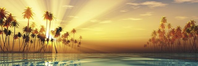 wjsalinasmendez's profile banner image