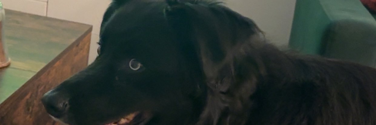 MariaDallimore's profile banner image