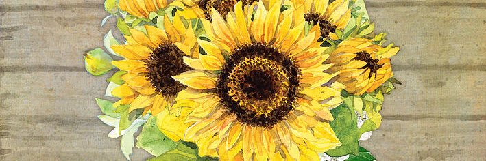 emily4885's profile banner image