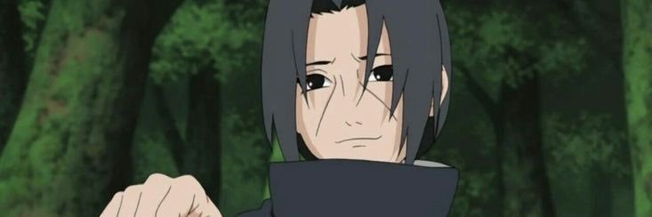 alepaivs's profile banner image