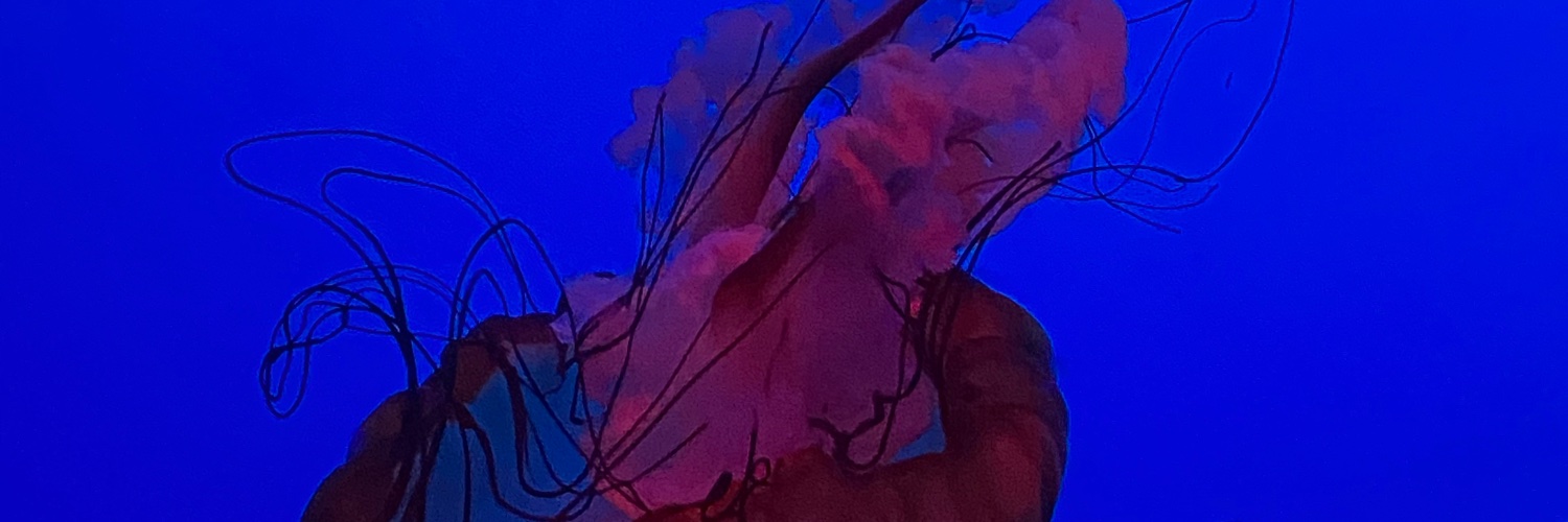 lex banner
