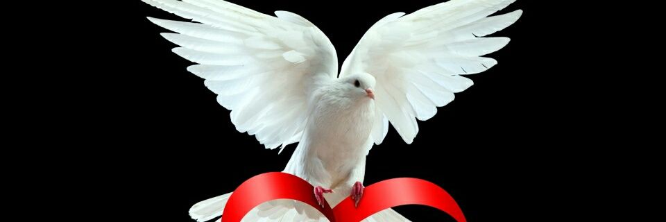 NneJay's profile banner image