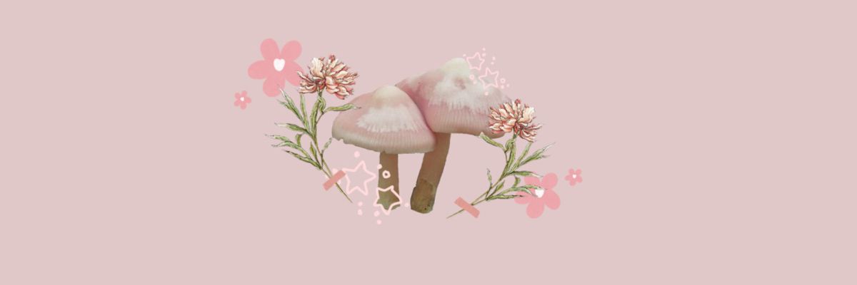 ILYSM_MBB_15's profile banner image