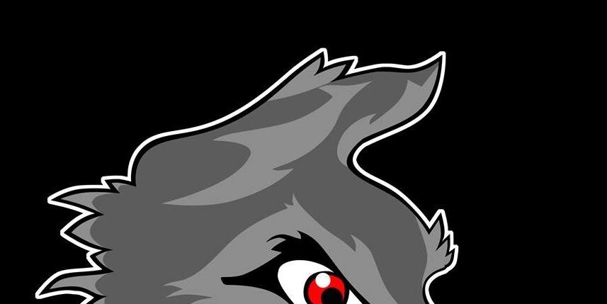 SC Wolves banner