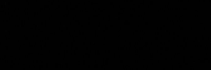 YazTorresi's profile banner image