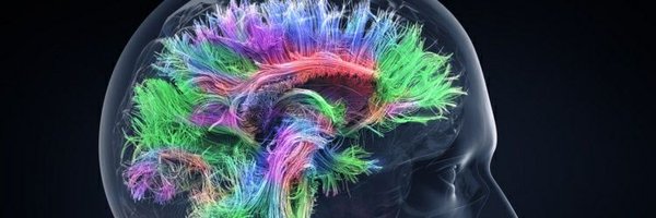 8ellis Profile Banner