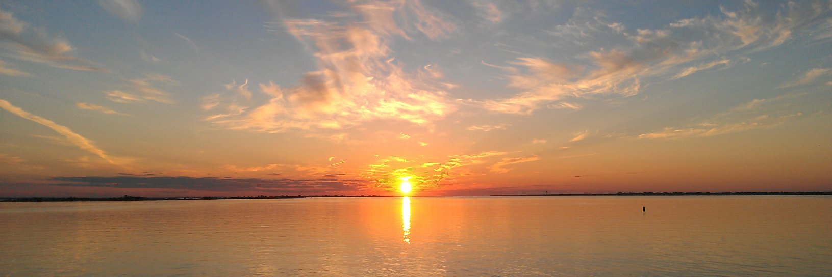 ThePRFreelancer banner