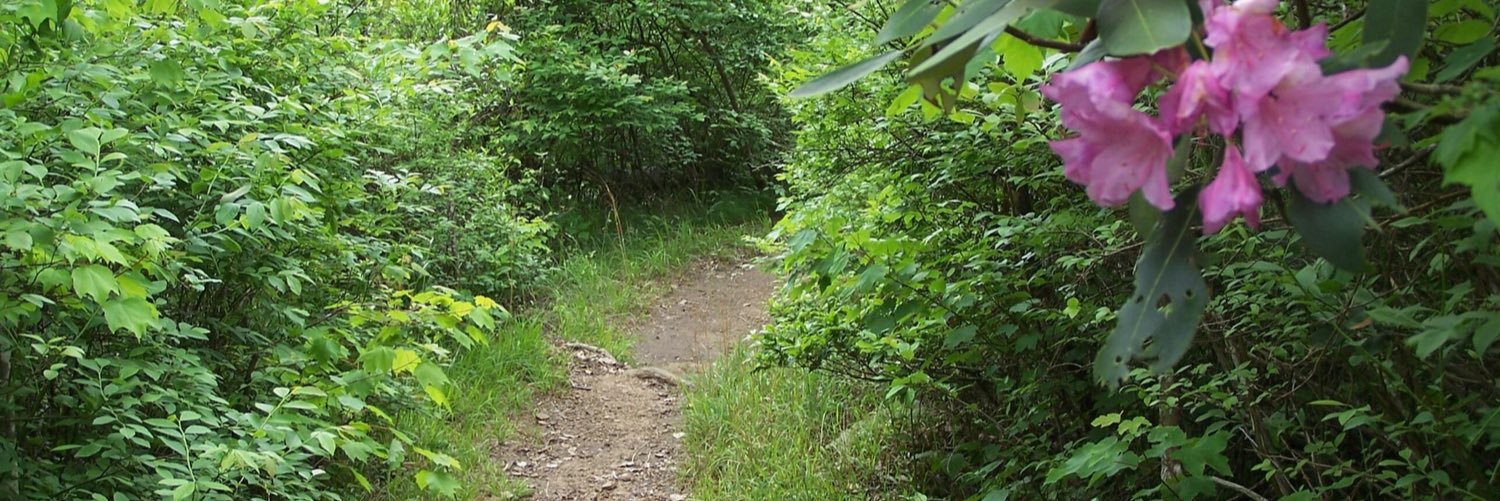 Alabama State Parks banner