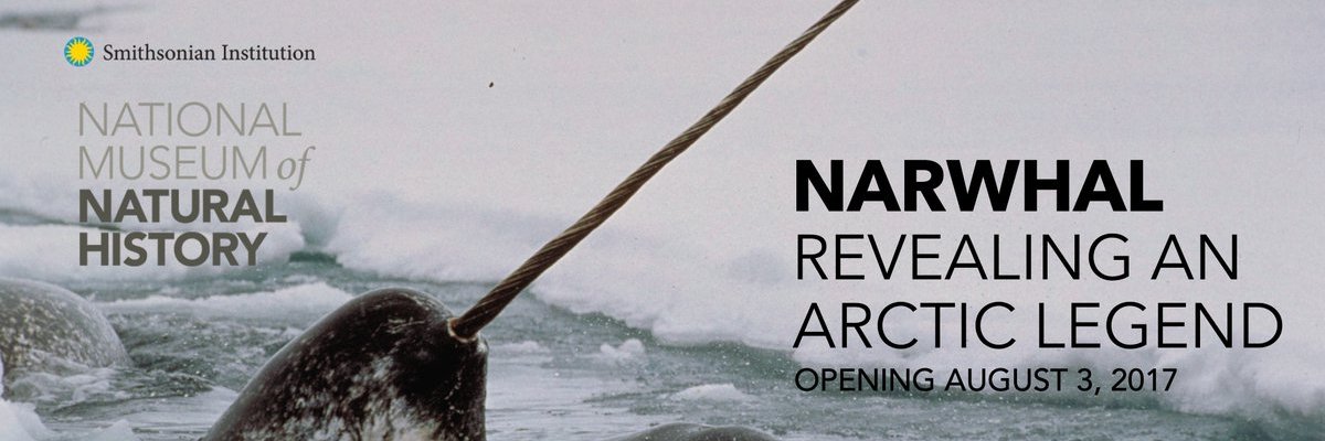 ArcticStudies's profile banner image